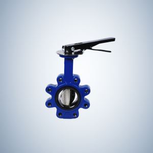 Stainless Steel Disc Concentric Butterfly Valve