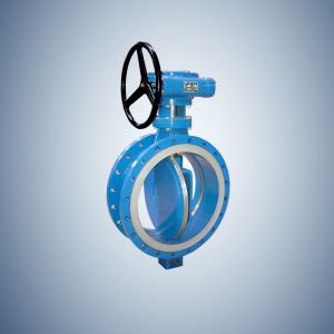 Worm Wheel Flange Type Concentric Butterfly Valve