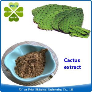 Cactus Extract Anti Obesity Prickly Pear Benefits Slimming Ingredient Hoodia Gordonii Extract