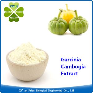 Garcinia Cambogia Extract Powder 100 HCA Garcinia Indica Health Benefits Garcinia Cambogia Customer Reviews
