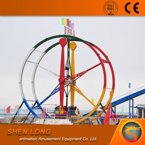 Playground Rides Ferris Ring Car