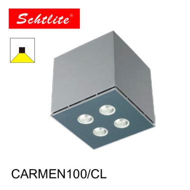 Ceiling Outdoor Mounted LED Wall Light
