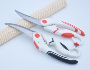 Unique Kitchen Scissors