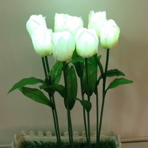LED Tulip Decoration Lights