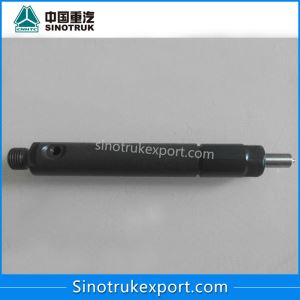 Sinotruk HOWO VG1560080276 Injector