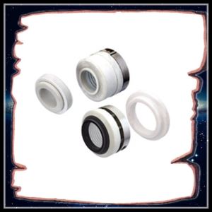 Chemical PTFE Mechanical Seal (WB2)