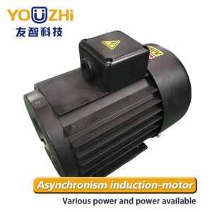 Motor for Hydraulic Power Units