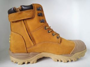 Basic Safety Shoes, Industry Safety Shoes, Construction Safety Shoes