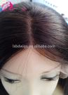 100% Silk Straight Brazilian Middle Part Human Hair Full Lace Wig