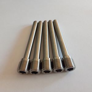Titanium Rear Pins