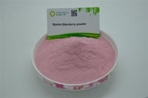 Elderberry Fruit Powder