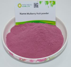Mulberry Juice Powder