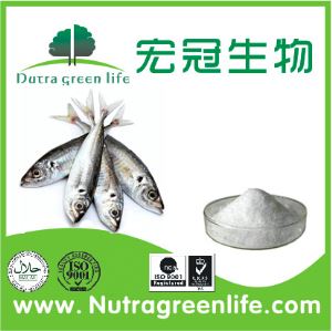 Fish Collagen Powder Factory Supply Natural Food Grade Food Grade From Fish Skin And Fish Scale