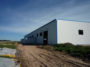 Pre-engineering Steel Structural Building Construction Warehouse