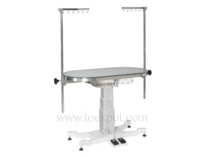 ACE Deluxe Illumination Grooming Table FT-889