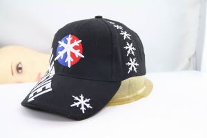 Custom Baseball Hats