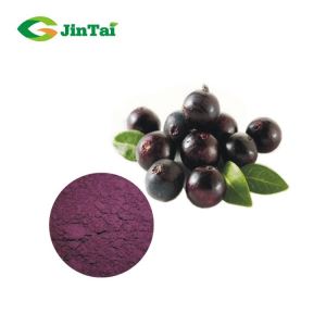 Hot Sale Wholesale Natural Acai Berry Powder