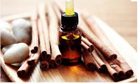 Cinnamon Essential Oil, Professional Manufacturer Supply Pure Cinnamon Extract Oil, Best Bark Cinnamon Oil