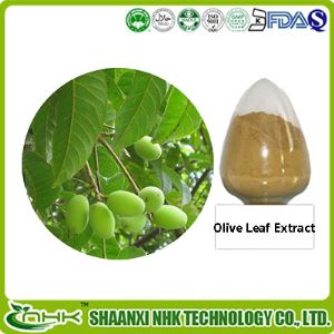 Olive Leaf Extract, Oleuropein, Hydroxytyrosol