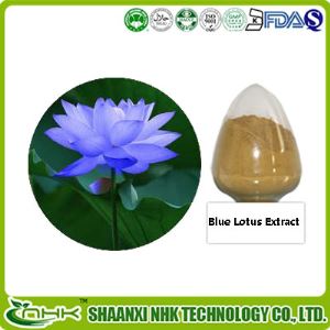 Blue Lotus Extract, Blue Lotus Leaf Extract Powder