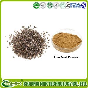 Chia Seed Powder, Organic Chia Seed Powder, Chia Seed Extract