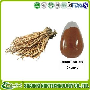 Radix Isatidis Extract, Indigowoad Root Extract Powder