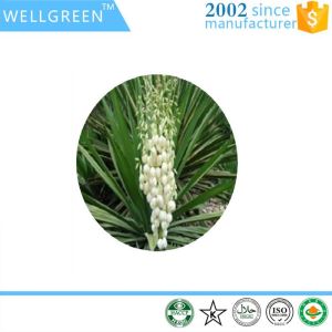 Yucca Schidigera 50% Saponins For Control Odors