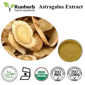 Astragalus Root Extract,astragalus root extract hot sale,astragalus membranaceus extract wholesales