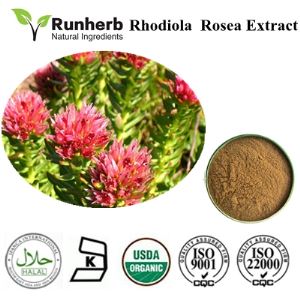 Rhodiola Extract,rhodiola extract manufacturers , certified super rhodiola extract