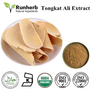 Tongkat Ali Extract,aphrodisiac tongkat ali extract manufacturers, tongkat ali extract manufacturers ,certified super tongkat ali extract