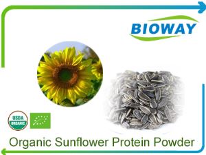 Organic Sunflower Protein Powder
