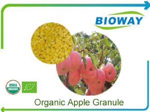 Organic Apple Granule