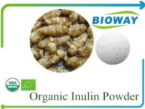 Organic Inulin Powder,90% activities