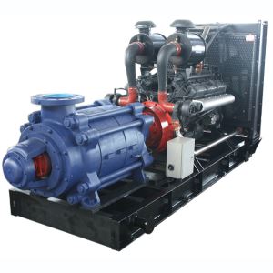000 Model Diesel Multistage Pump
