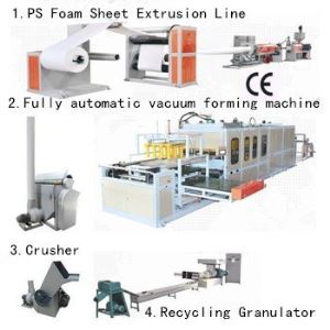 Disposable Food Box Production Line