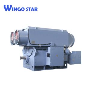 High Voltage Big Power Motor With Slip Ring