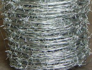 Hot-Dip Galvanized Barbed Wire