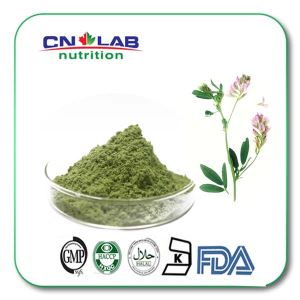 Medicago Sativa Extract ,Alfalfa Juice  Powder with Flavonoids and saponin