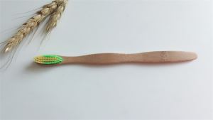 Cheap Bamboo Toothbrush