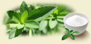 Organic Brasil Stevia
