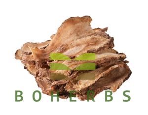 Organic Angelicae Sinensis Radix Angelica Root Dong Guai Root Chinese Angelica Root Dang Gui