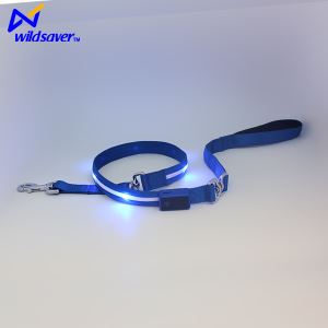 Fashion Retractable Nylon Webbing Rechargeable LED Dog Leash