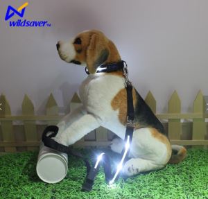 Retractable Dog Leash With Led Flashlight