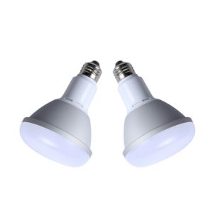 Br30 Pot Light Fitting 15W Dimmable