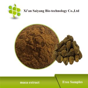 Organic Black Maca Powder Maca Root Extract