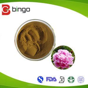 10%20%98% Paeoniflorin Peony Root Extract Immune Pure Cosmetic Raw Materials for Skin Care