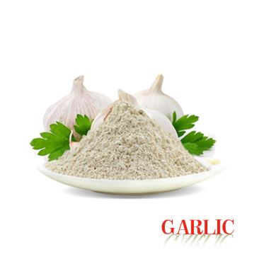 Seasoning Powder Natural Spice Garlic Powder