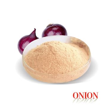 Seasoning Powder Natural Spice Onion Powder