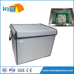 Ice Cream Transporation Cooling Boxes