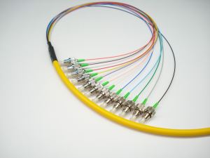 Pigtail with FC Connector